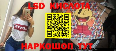 мдпв Камышлов