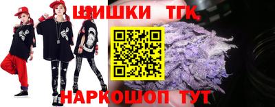 мдпв Камышлов