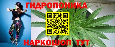 ГАЛЛЮЦИНОГЕННЫЕ ГРИБЫ Канаш