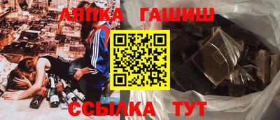мдпв Камышлов