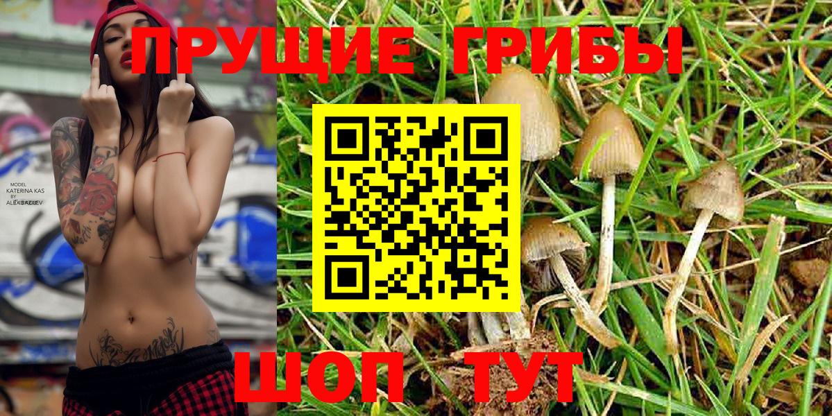 Ипатово  Галлюциногенные грибы MAGIC MUSHROOMS  Псилоцибиновые грибы Magic Shrooms  Вход с VPN 